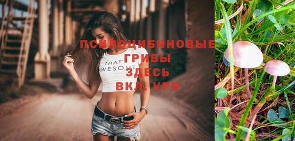 сатива Абинск